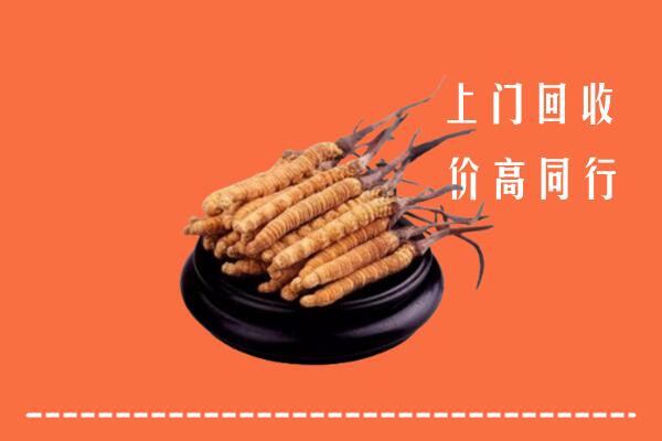 大理回收冬虫夏草