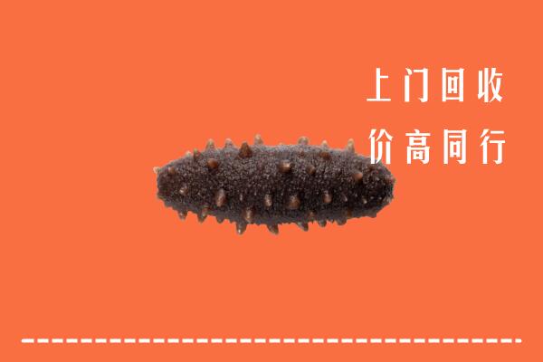 大理高价回收海参